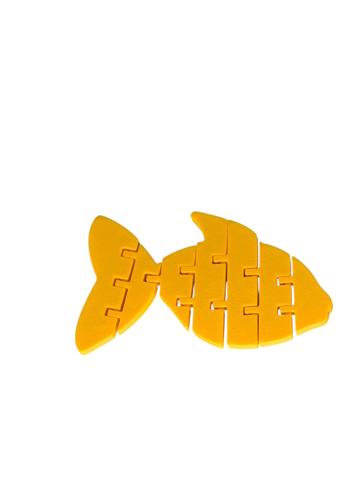 Flexi Fish